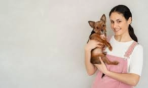 Conheça ocupações curiosas permitidas para microempreendedores individuais