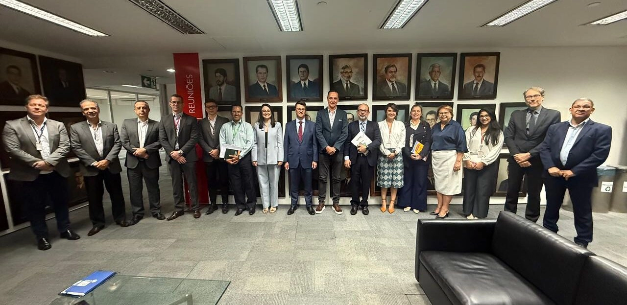 CRCMG E ENTIDADES SE REÚNEM COM A SEF/MG PARA DISCUTIR SOBRE BLOQUEIOS DE INSCRIÇÕES ESTADUAIS