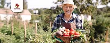 Mais de 440 mil produtores rurais regularizam dívidas com Desenrola Rural